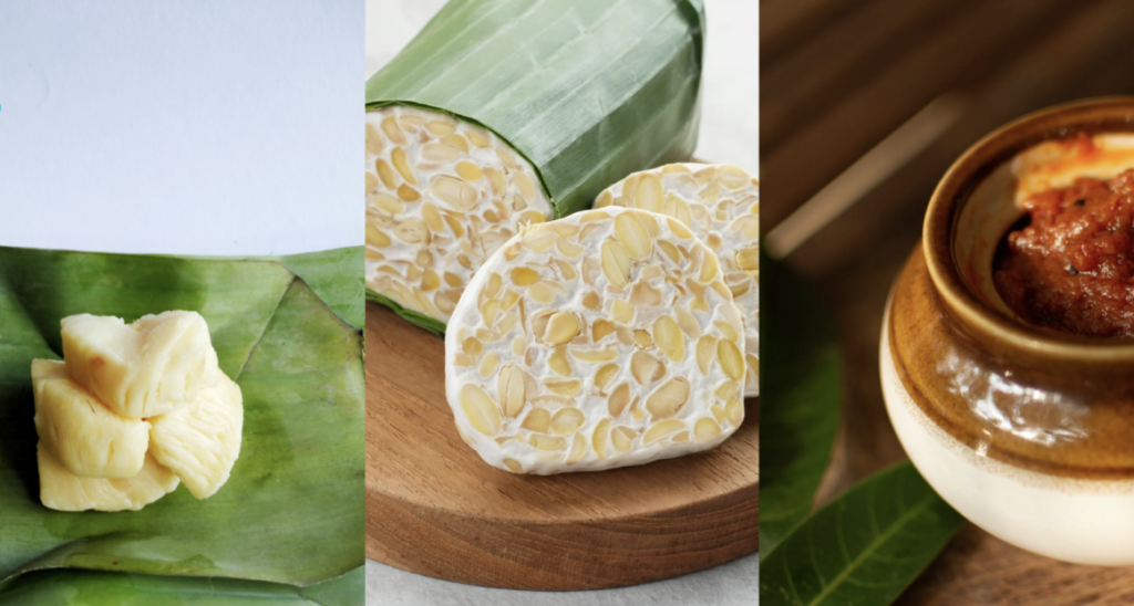 malaysian-fermented-foods-probiotics-tapai-tempeh-belacan
